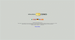 Desktop Screenshot of metallurgicacidneo.it